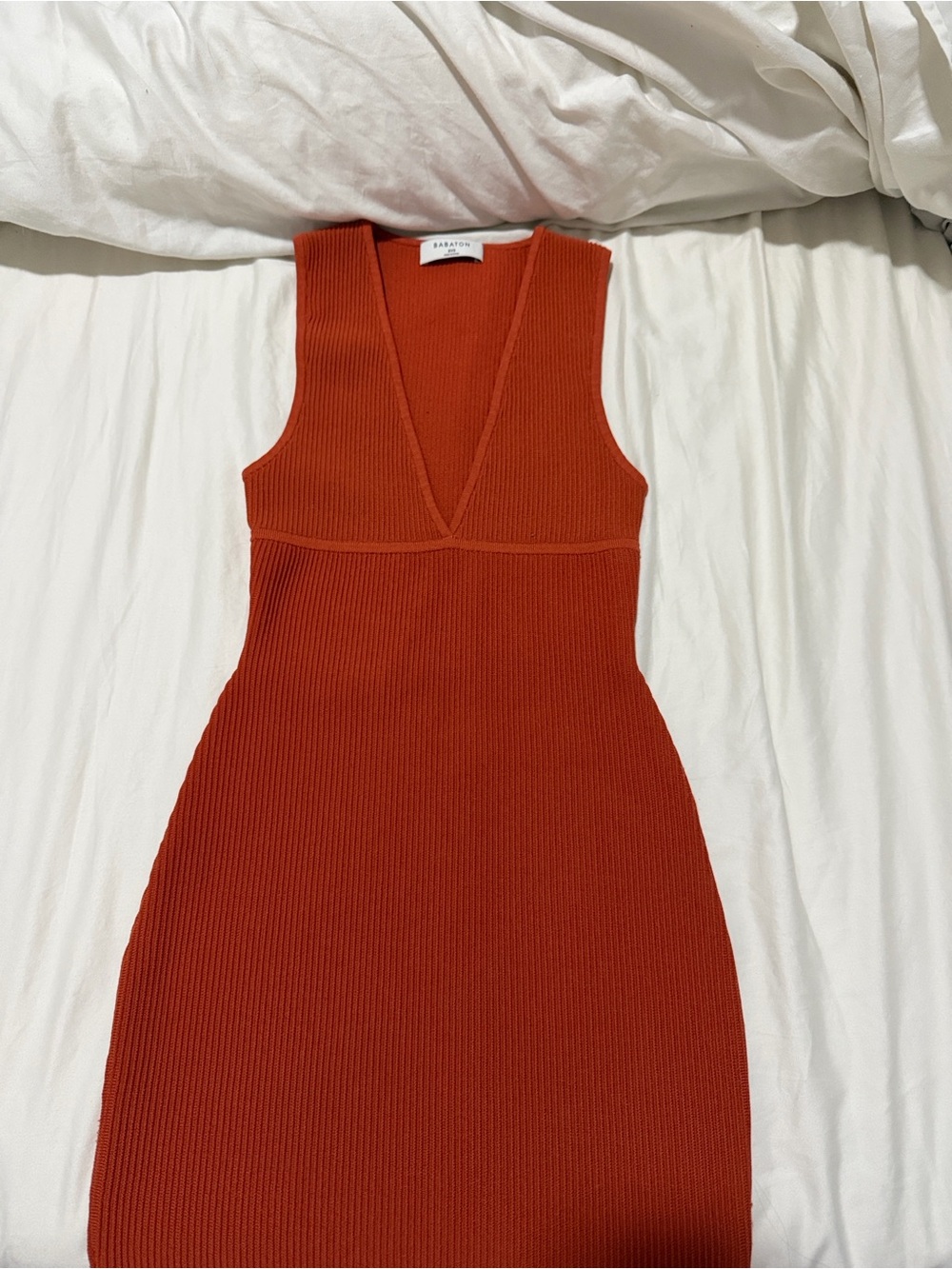 Aritzia Fitted Dress